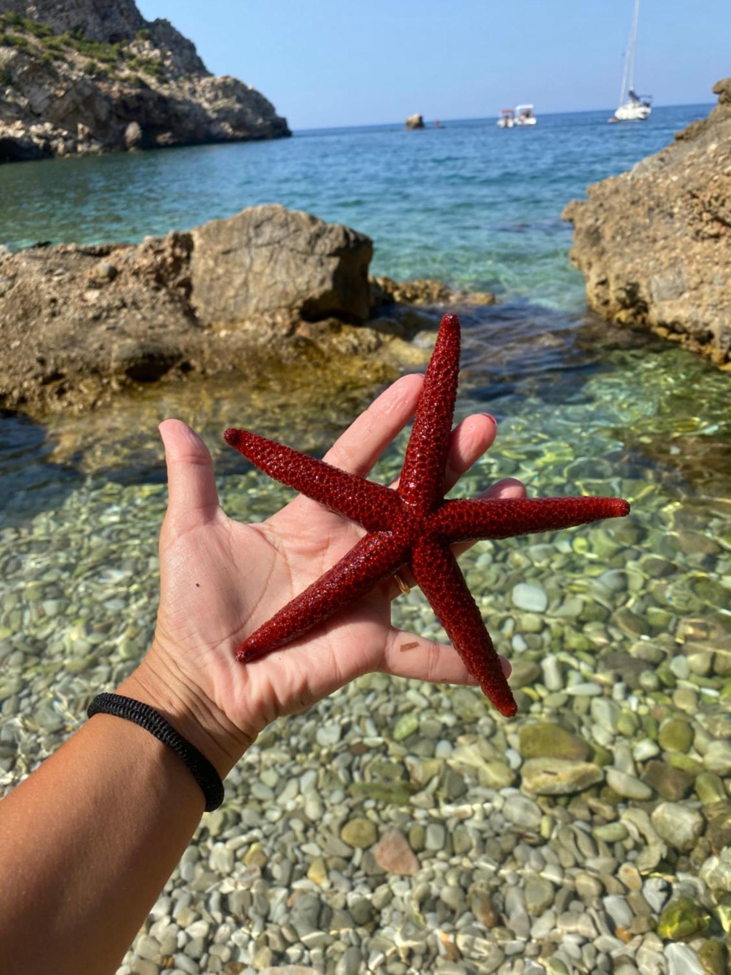 Appartamento Barone Castellammare del Golfo Bagian luar foto